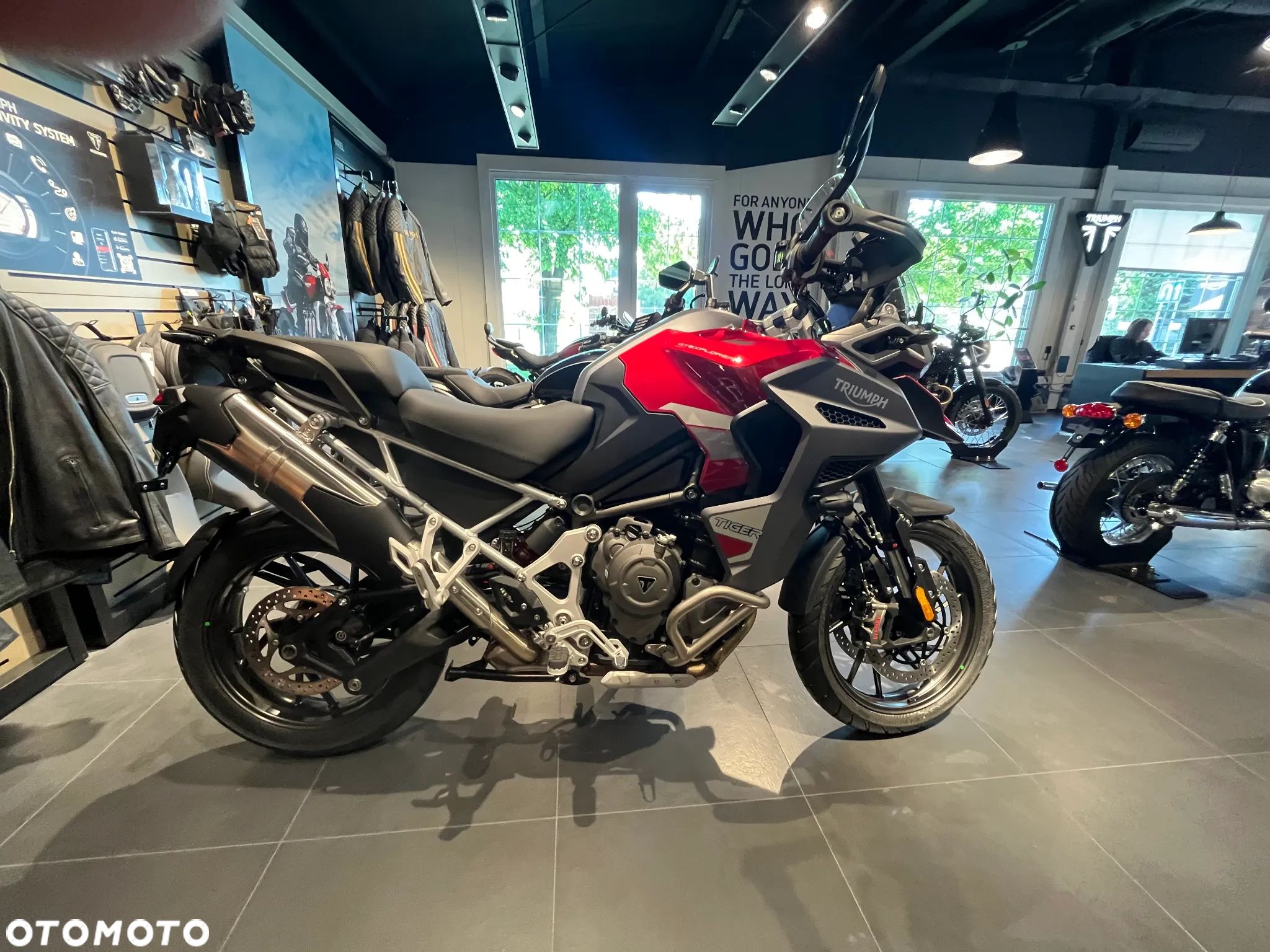 Triumph Tiger - 1