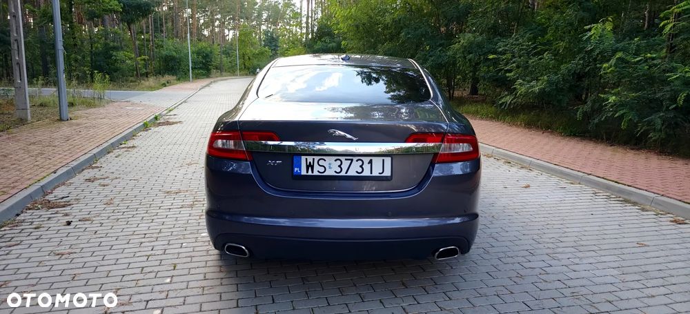 Jaguar XF 3.0 V6 D Luxury - 6