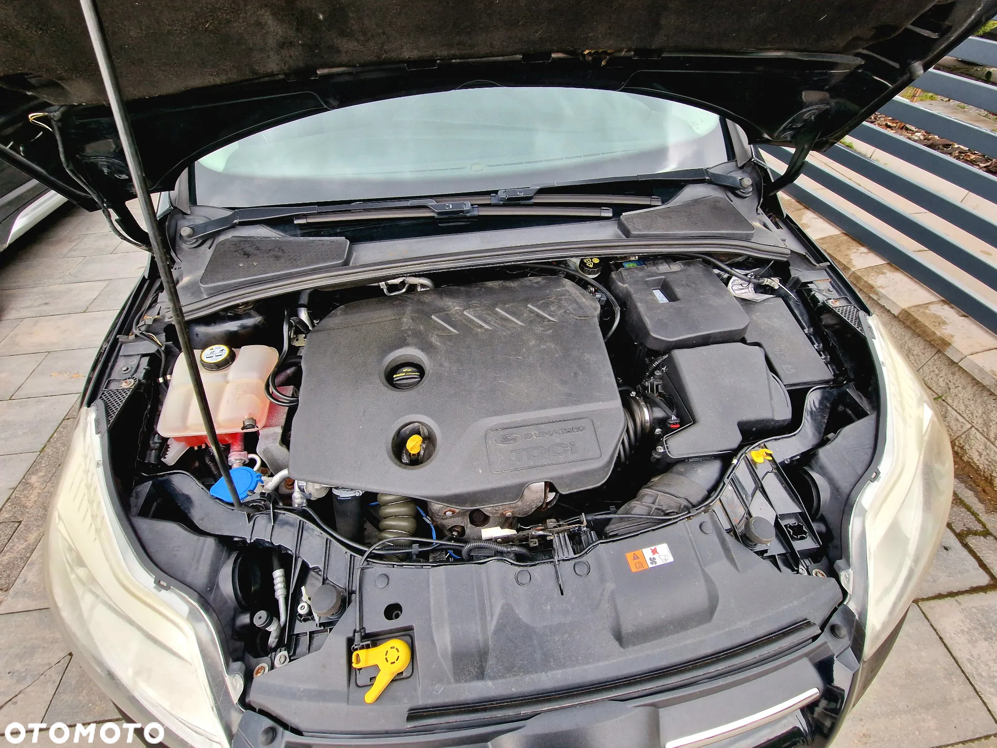 Ford Focus 1.6 TDCi Trend - 5