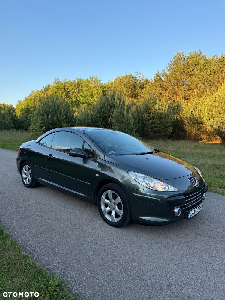 Peugeot 307 CC 2.0 Intense - 14