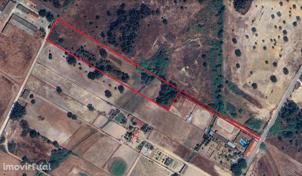 Terreno misto de 10.000m2 em Benavente (Herdade do Almada) - Grande imagem: 4/8