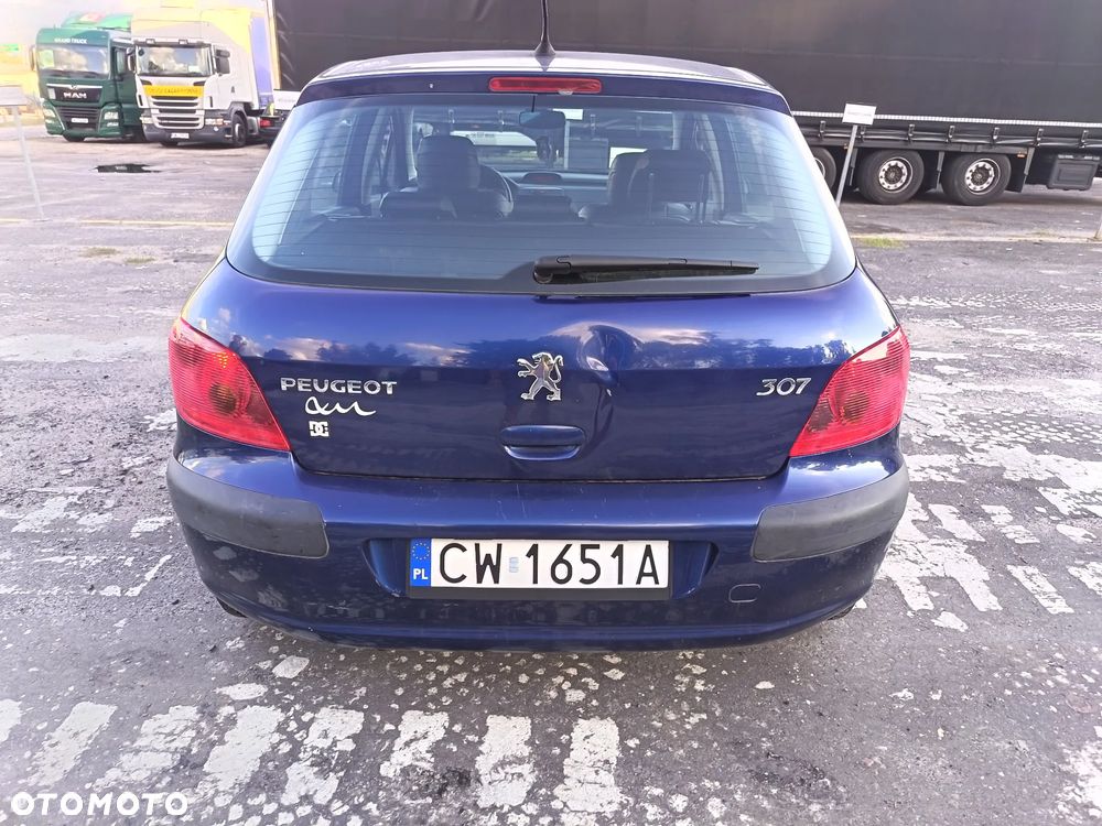 Peugeot 307 1.6 Mistral - 6