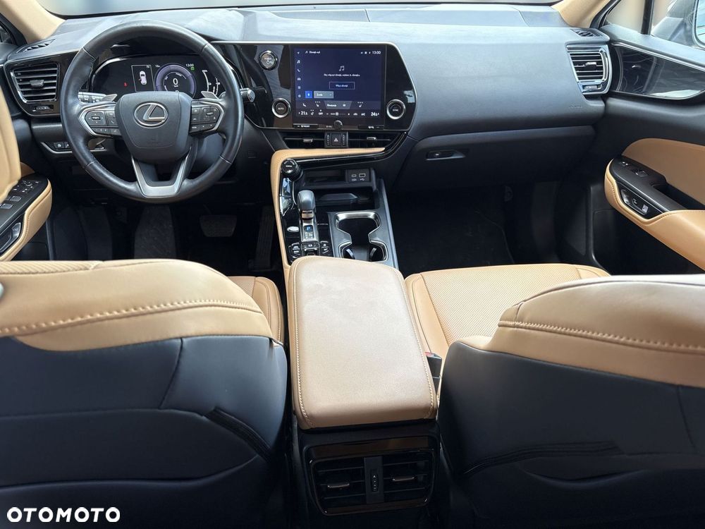 Lexus NX - 19