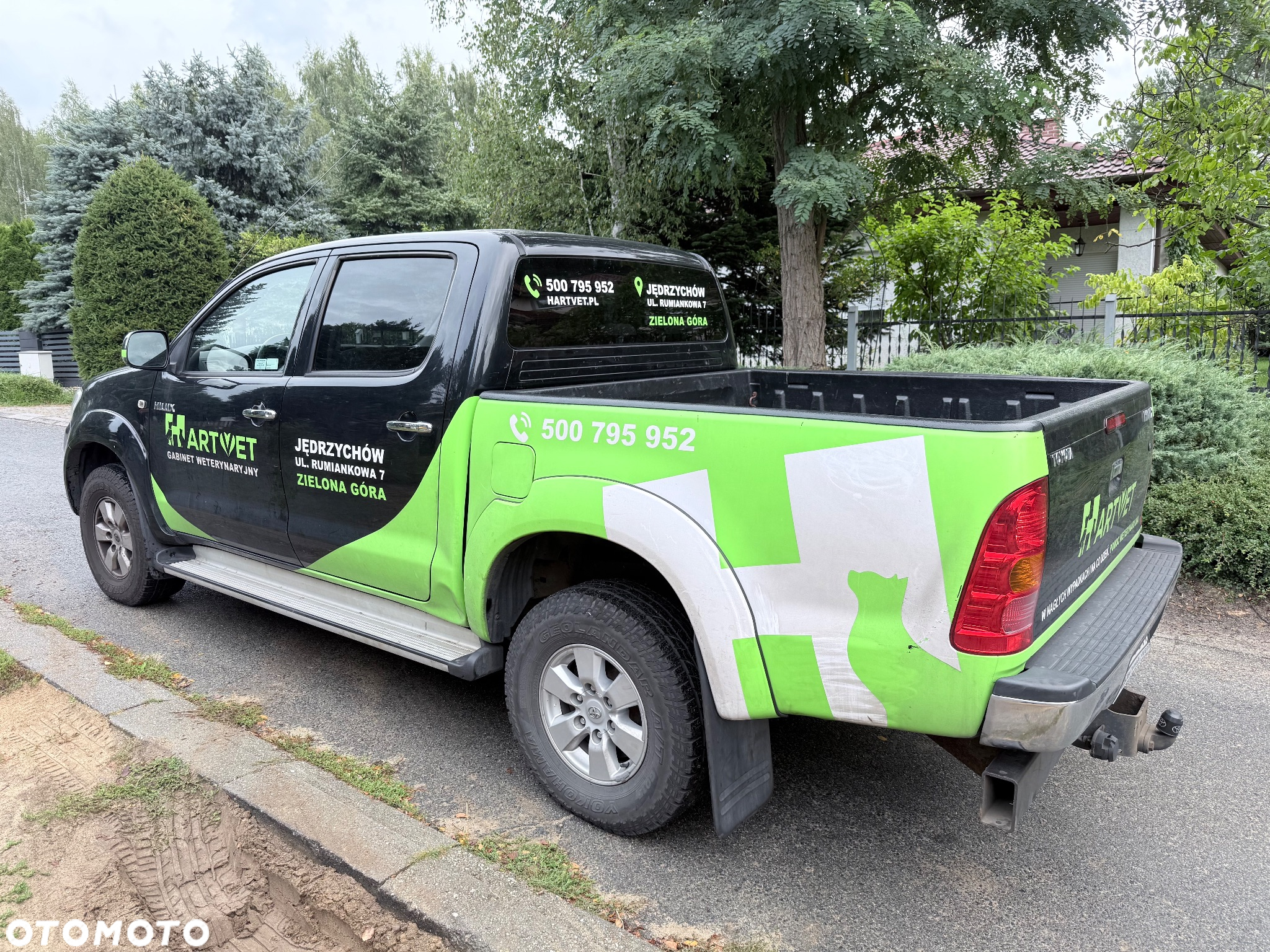 Toyota Hilux - 4