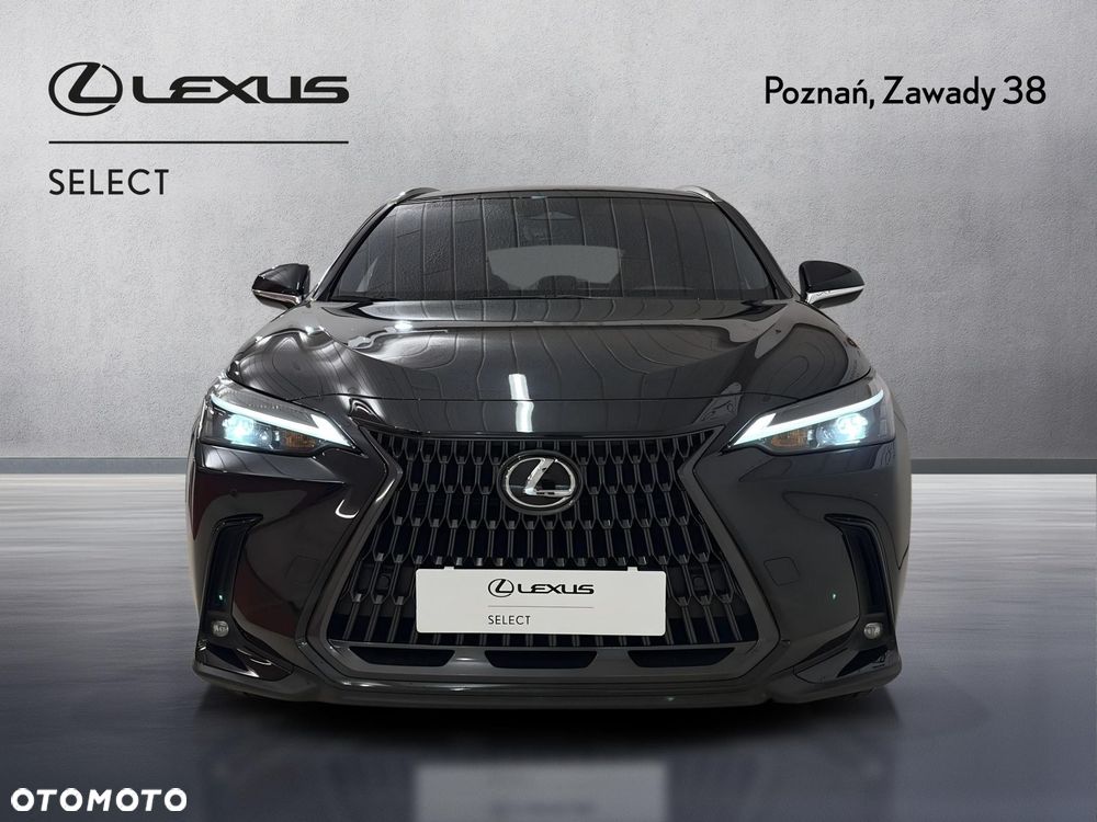 Lexus NX - 6