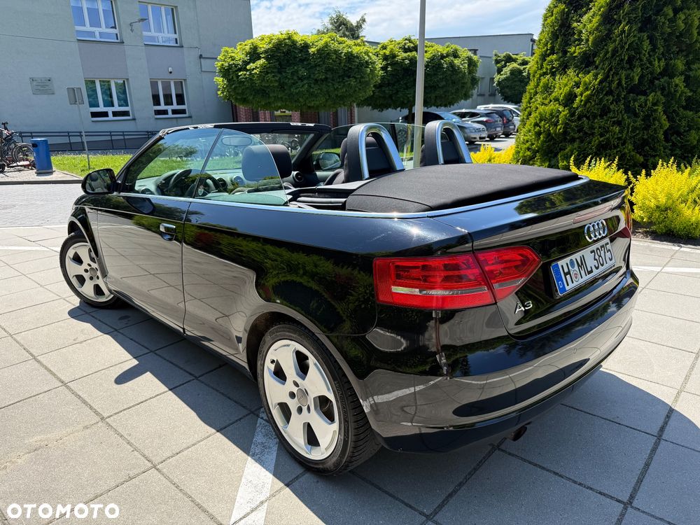 Audi A3 Cabrio 1.6 Ambition - 23