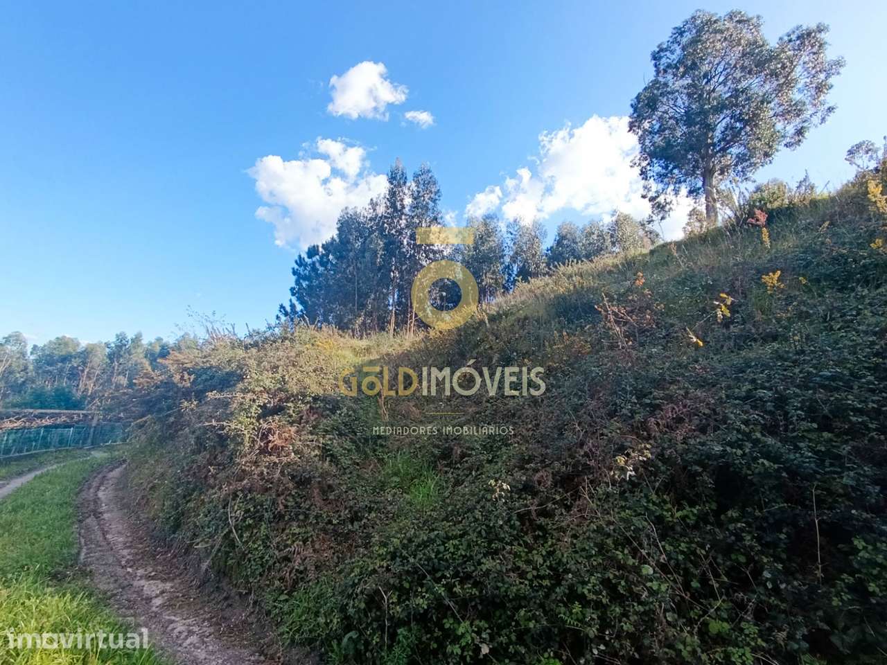 Terreno Rústico  Venda em Galegos,Penafiel - Grande imagem: 2/10