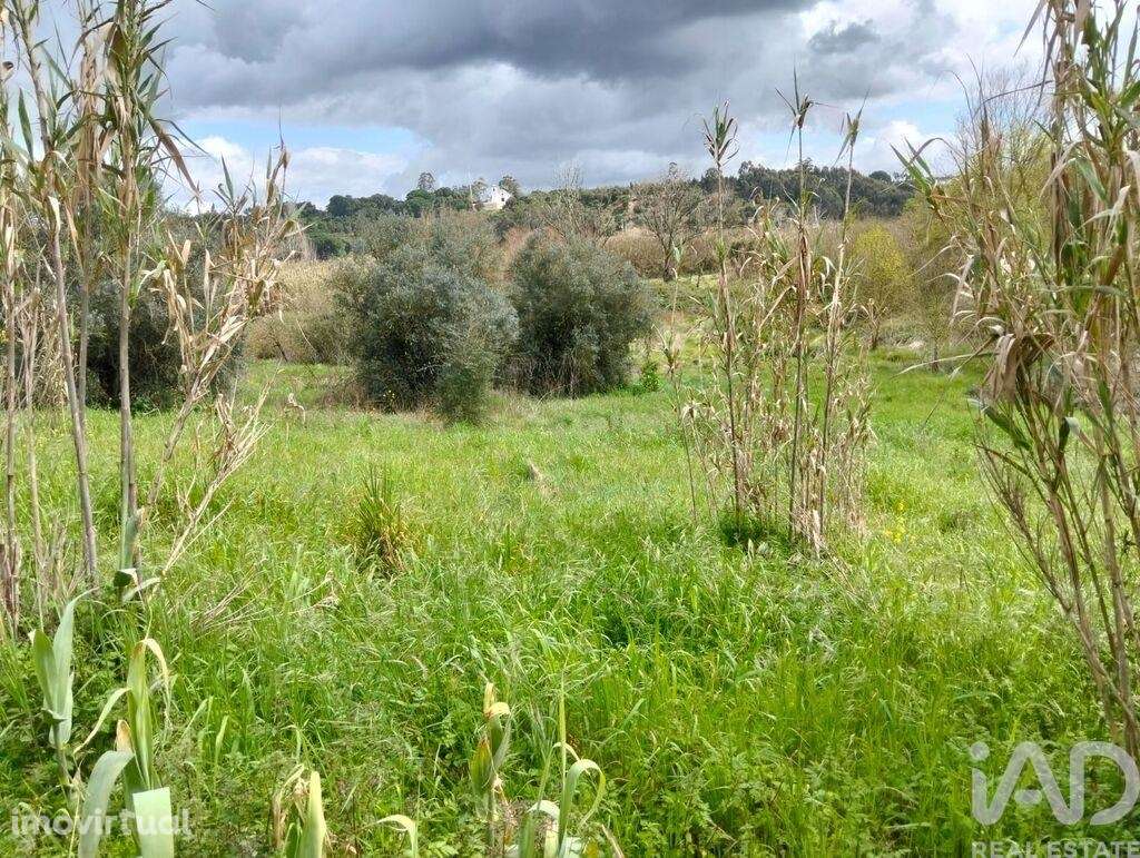 Terreno em Outeiro da Cortiçada e Arruda dos Pisões de 1540,00 m2 - Grande imagem: 4/24