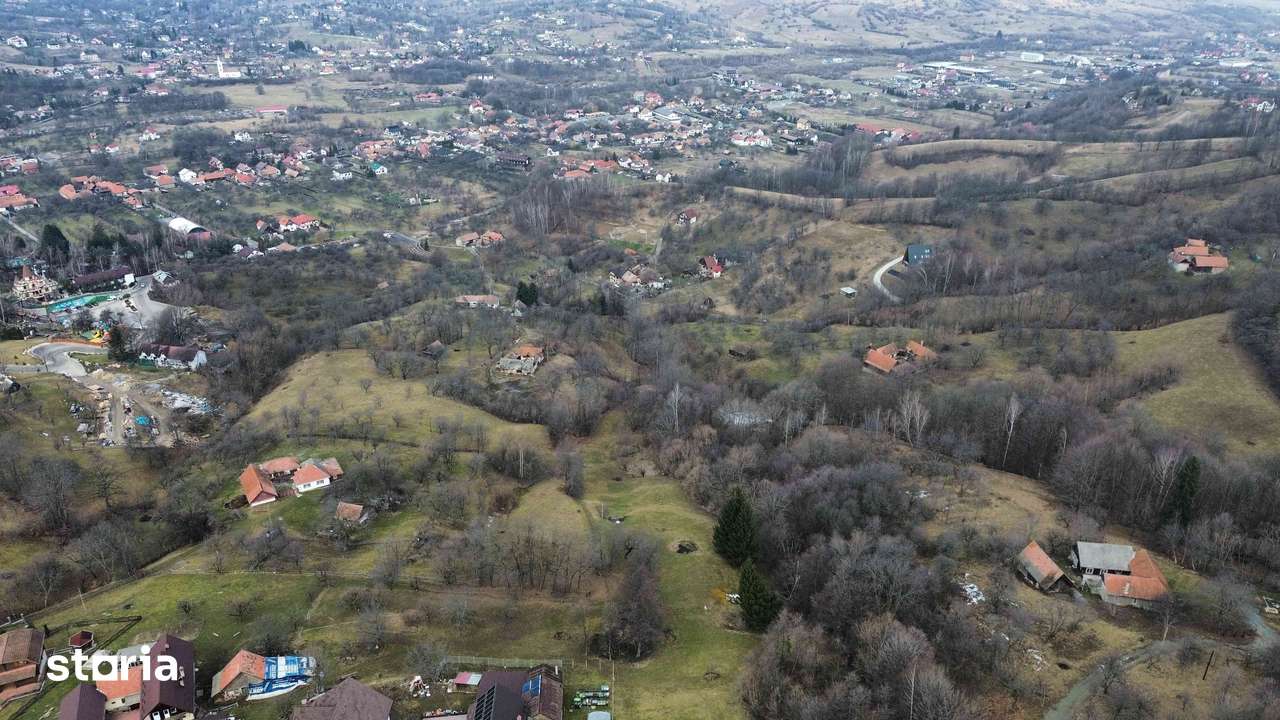 Poza 11