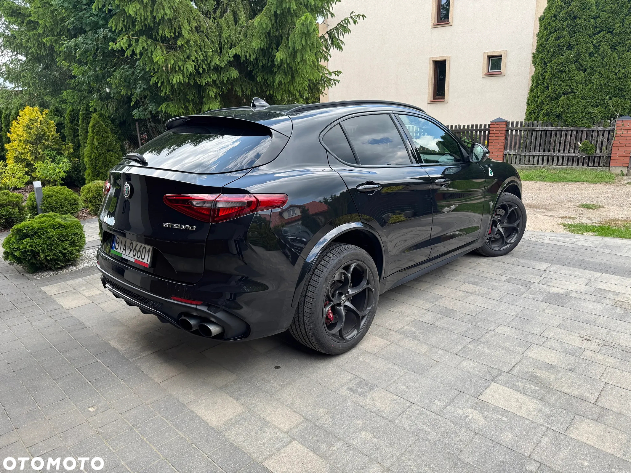 Alfa Romeo Stelvio 2.9 V6 Bi-Turbo Quadrifoglio Q4 - 6