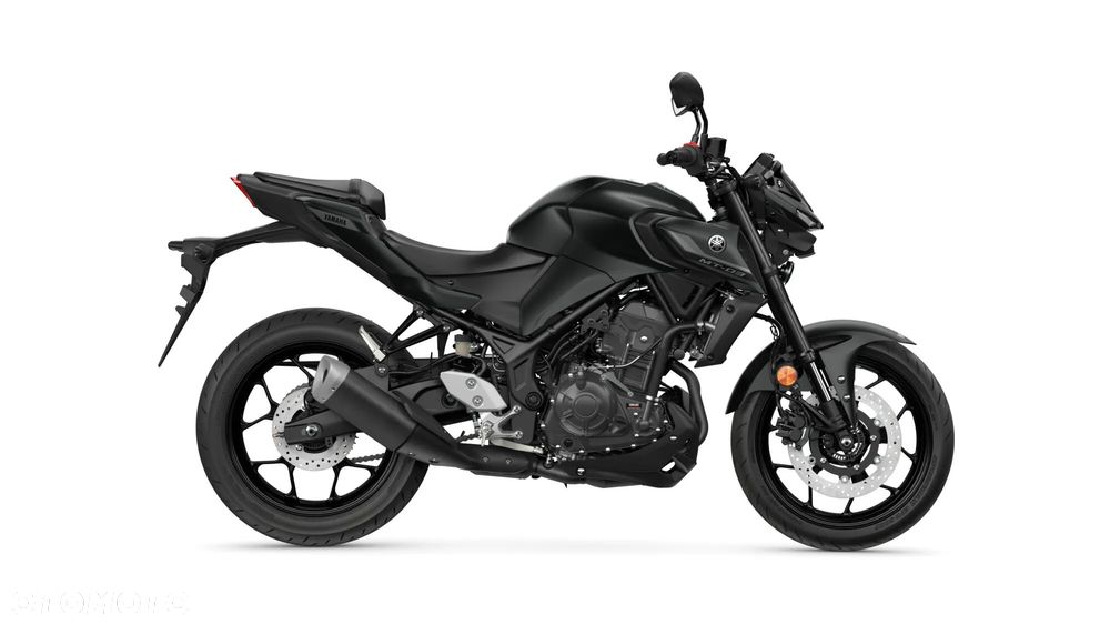 Yamaha MT - 18