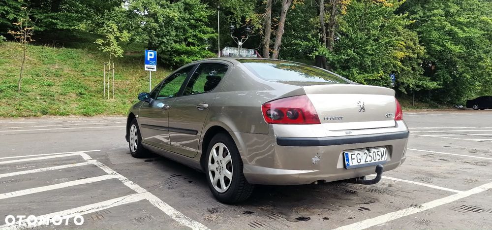Peugeot 407 - 24