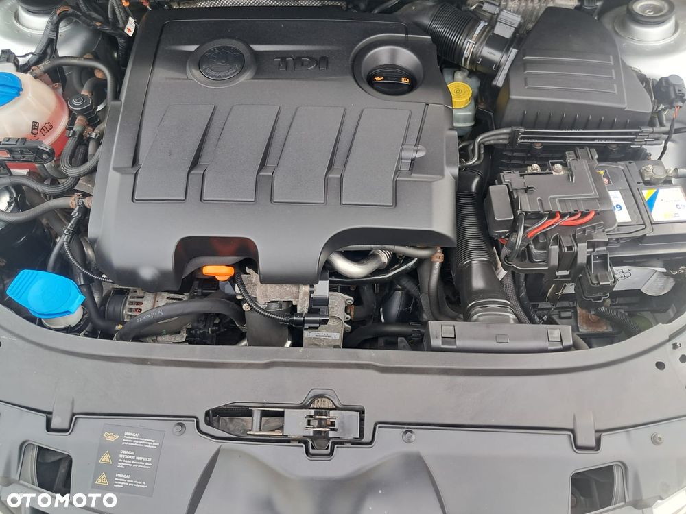 Skoda Fabia - 17