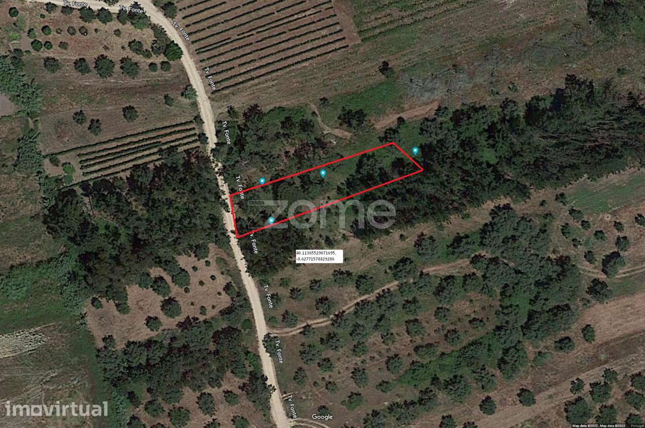 Terreno Rústico à Venda – Vila Nova de Anços 4.100m2 - Grande imagem: 3/11
