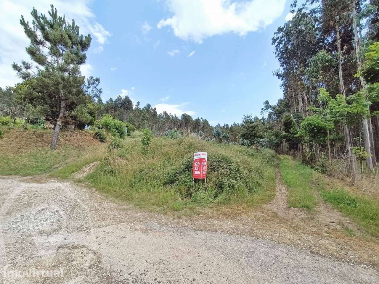 Terreno em Macinhata do Vouga - Vistas Panorâmicas! - Grande imagem: 3/4