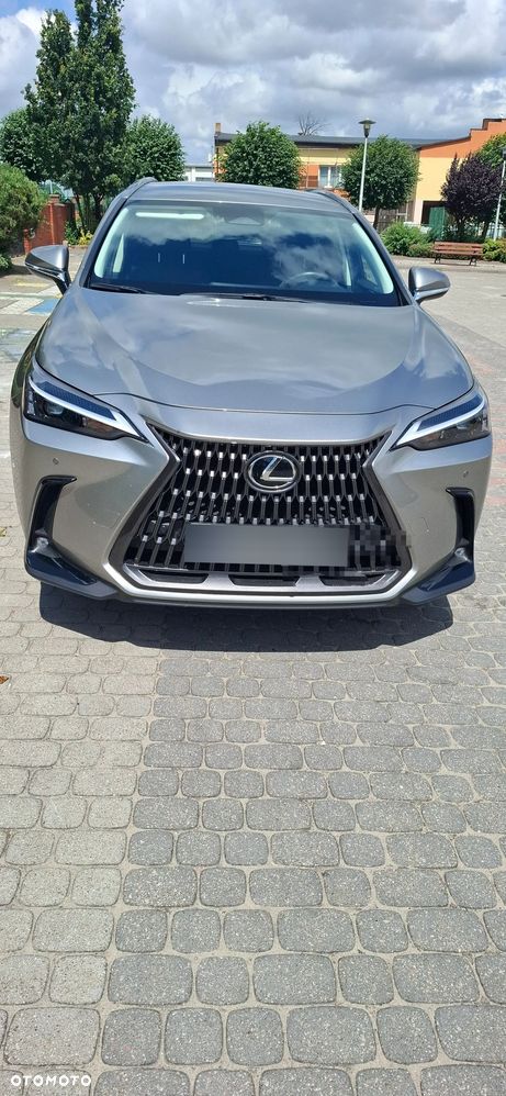 Lexus NX - 1