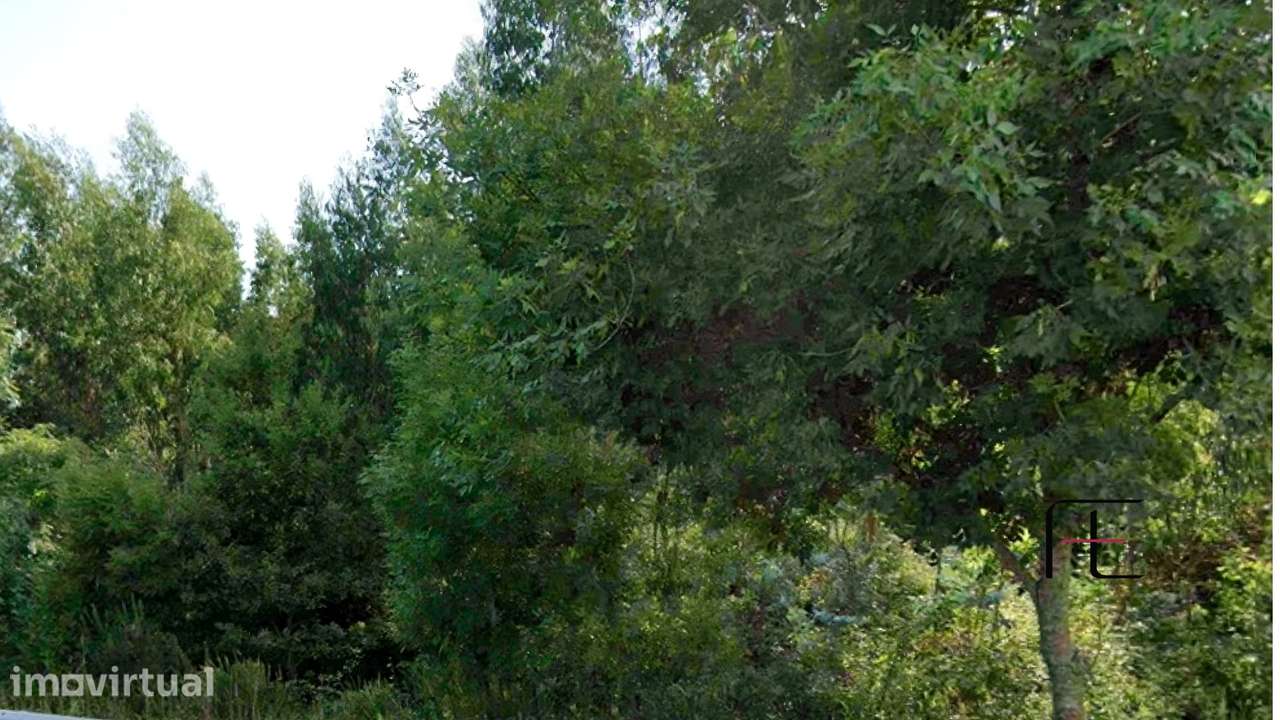Terreno  Venda em Vila Chã, Codal e Vila Cova de Perrinho,Vale de Camb - Grande imagem: 2/3