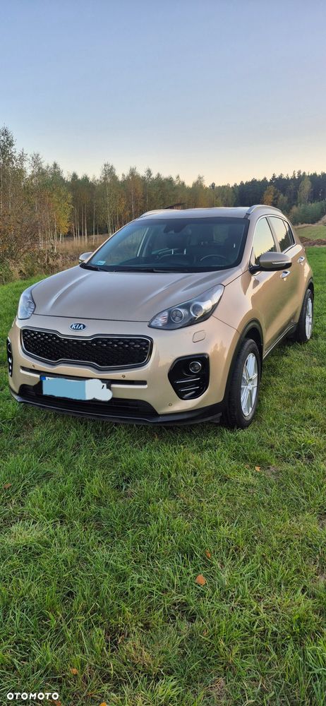 Kia Sportage - 14