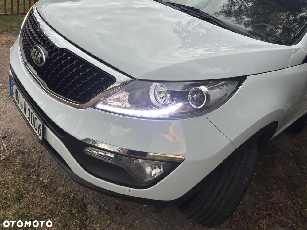 Kia Sportage - 22