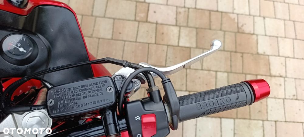 Honda CBF - 11