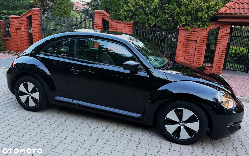 Volkswagen Beetle - 19