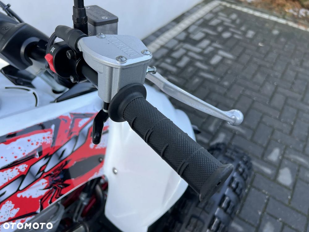 Yamaha Raptor - 8