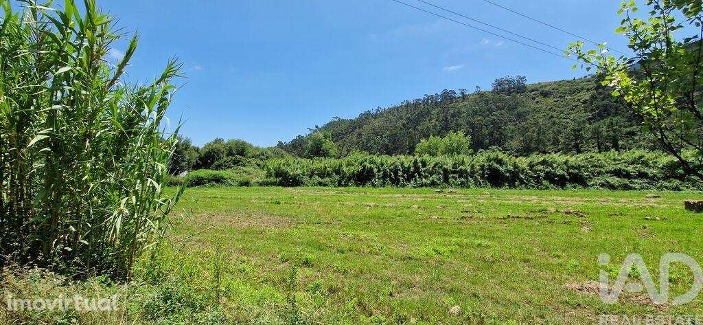 Terreno em Carvoeira de 2500,00 m2 - Grande imagem: 2/27