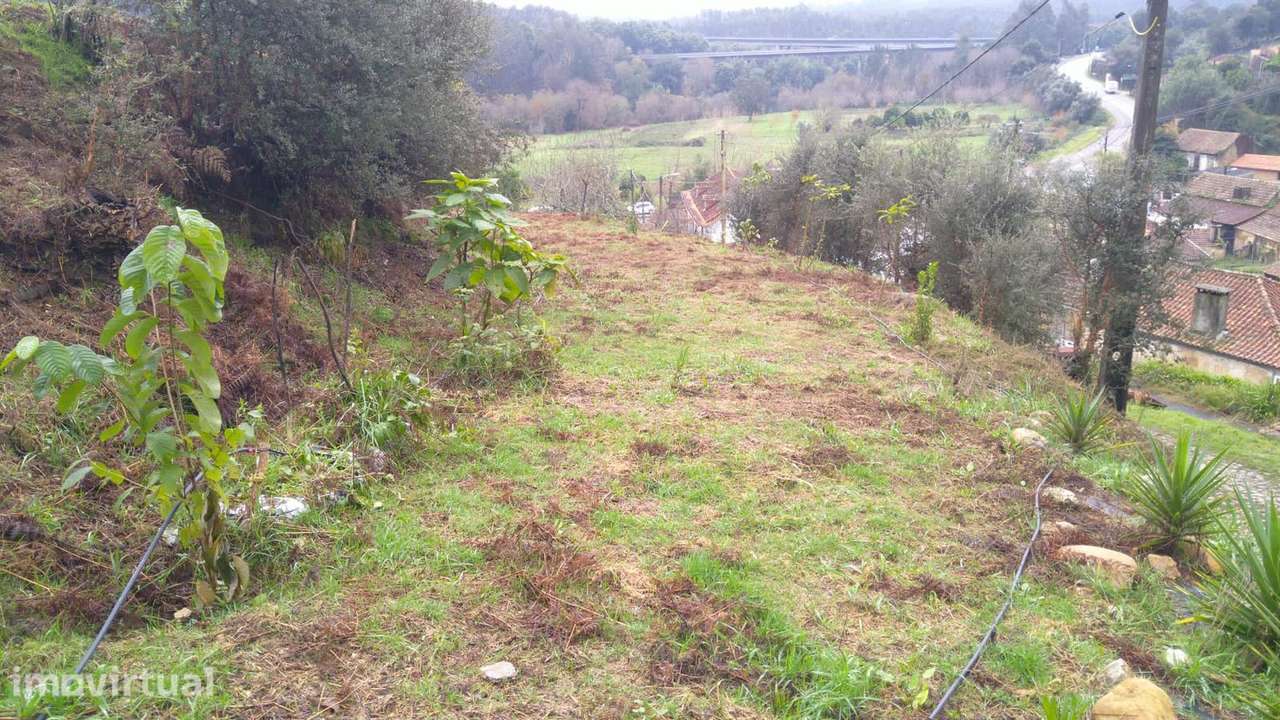 Soberbo, Terreno Urbano de 1850m² em Macinhata do Vouga - Grande imagem: 5/34