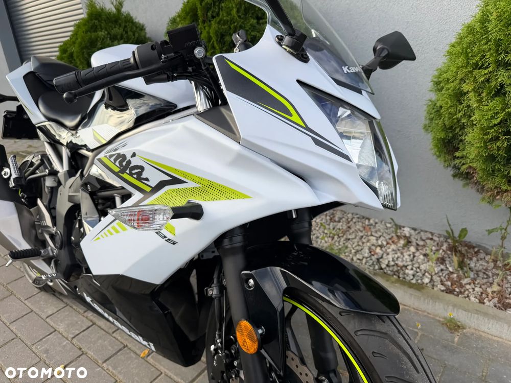 Kawasaki Ninja - 11
