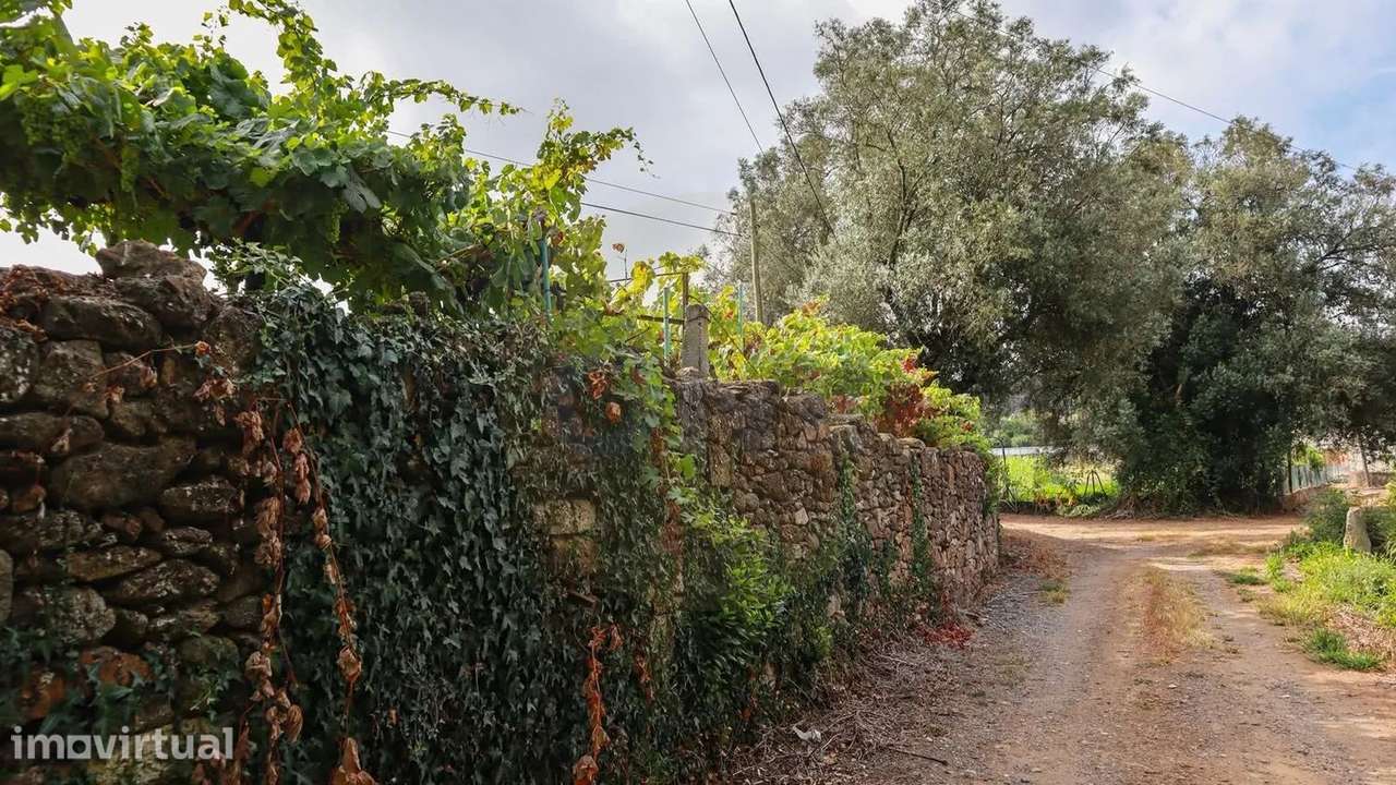 Terreno Rustico C/ viabilidade de construção com 1490M2 Vilar de Figos - Grande imagem: 2/11