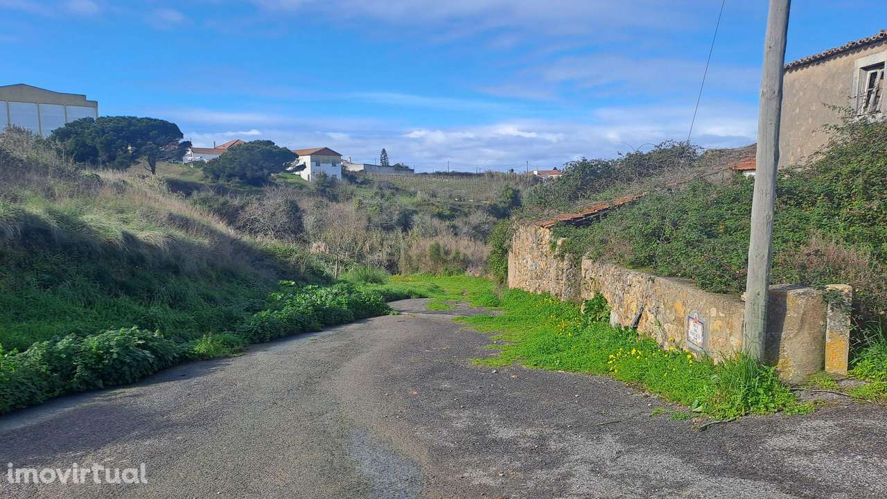 Terreno Agrícola - São João das Lampas - Grande imagem: 5/7
