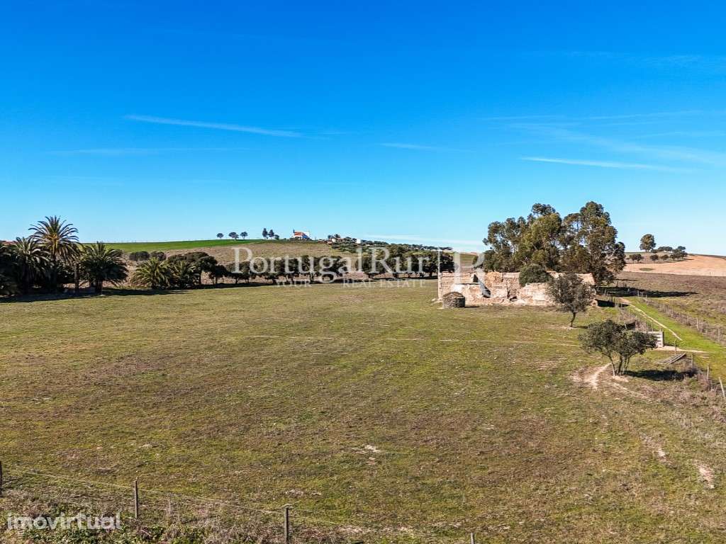 Quinta de 7 hectares com ruínas e potencial turístico - Grande imagem: 3/13