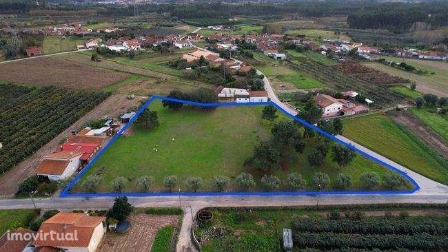 Terreno para construção de moradias em Anadia - Grande imagem: 2/12