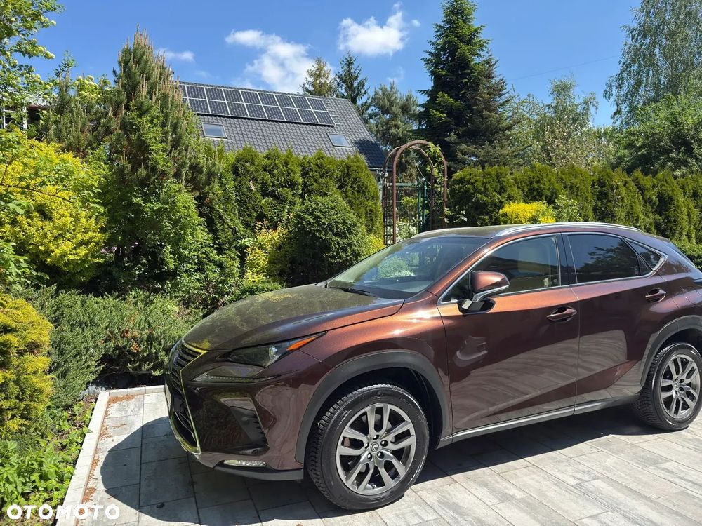 Lexus NX 300 Prestige AWD - 1