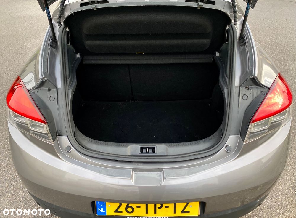 Renault Megane 1.6 16V Luxe Dynamique - 18