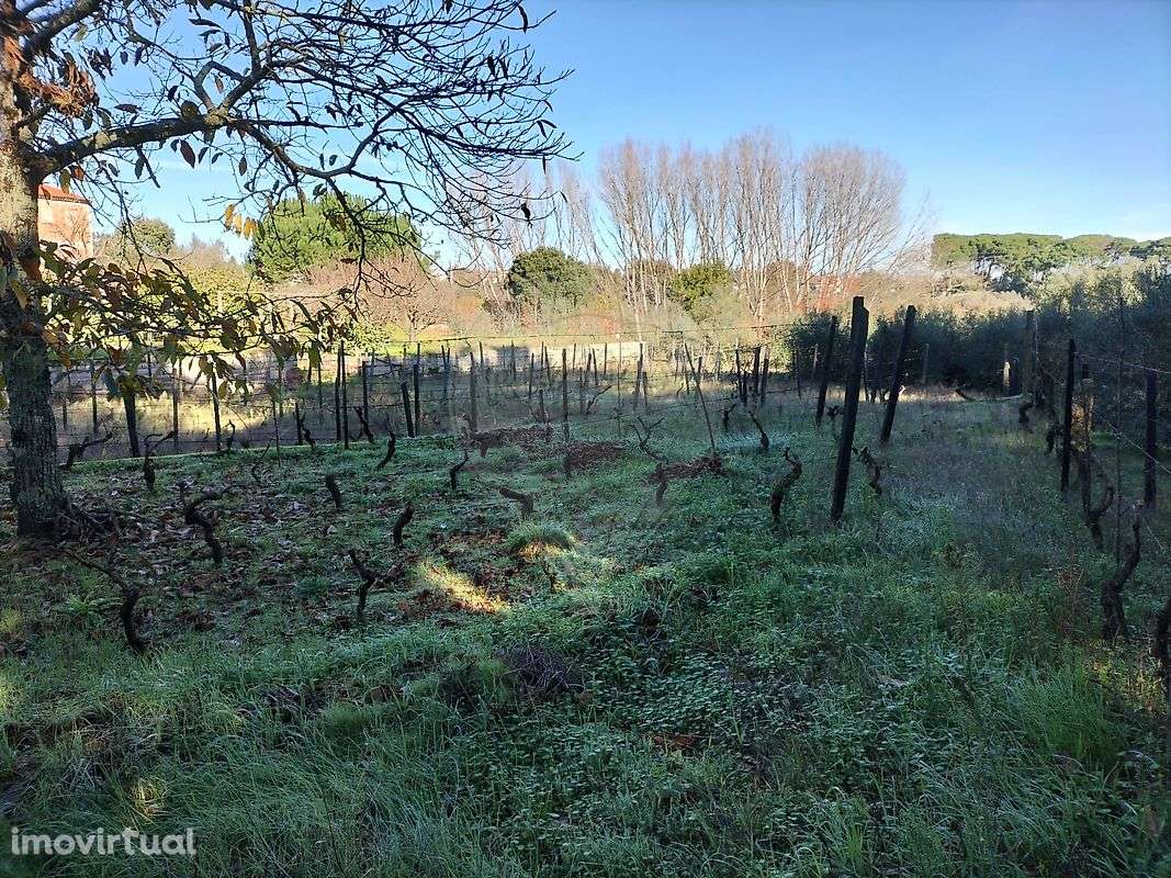 Armazém  para venda - Grande imagem: 2/35