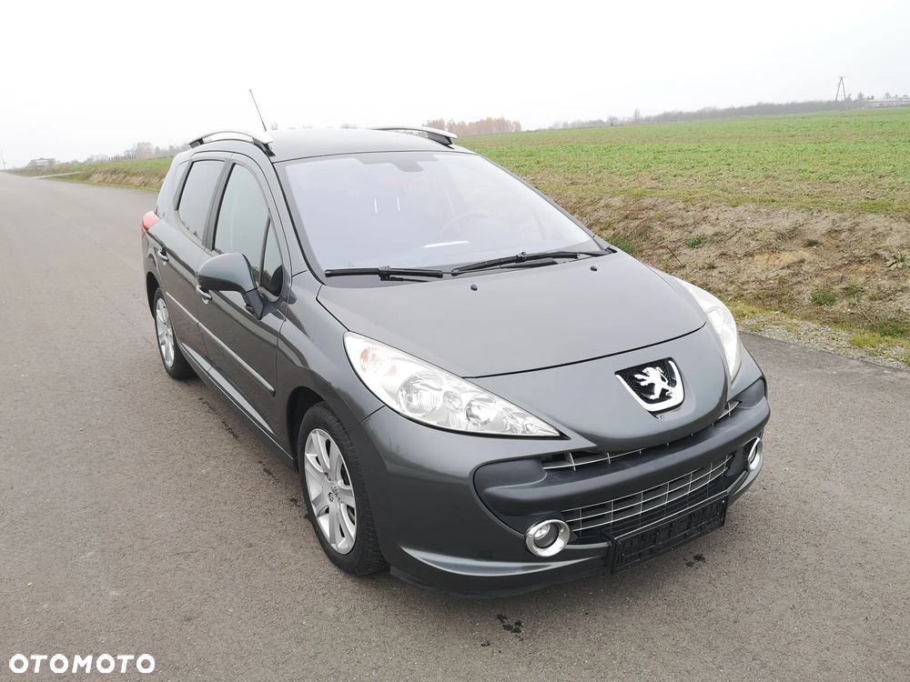 Peugeot 207 - 17