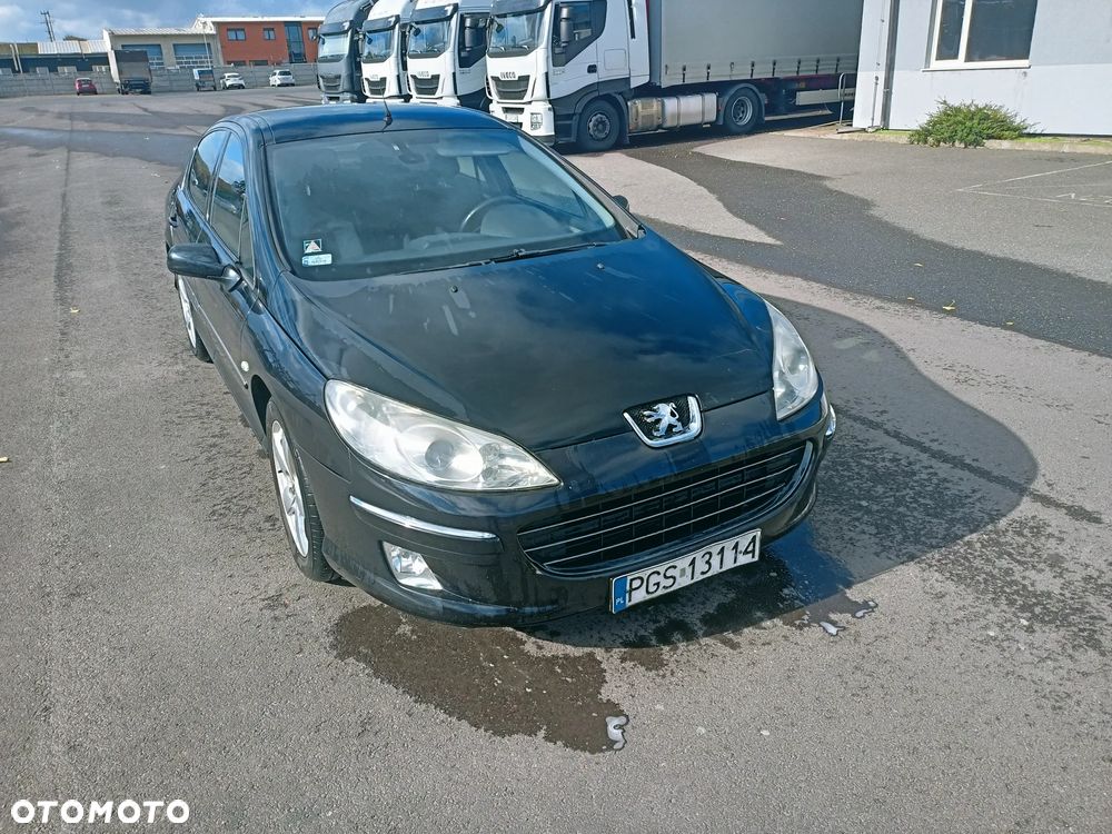 Peugeot 407 - 4