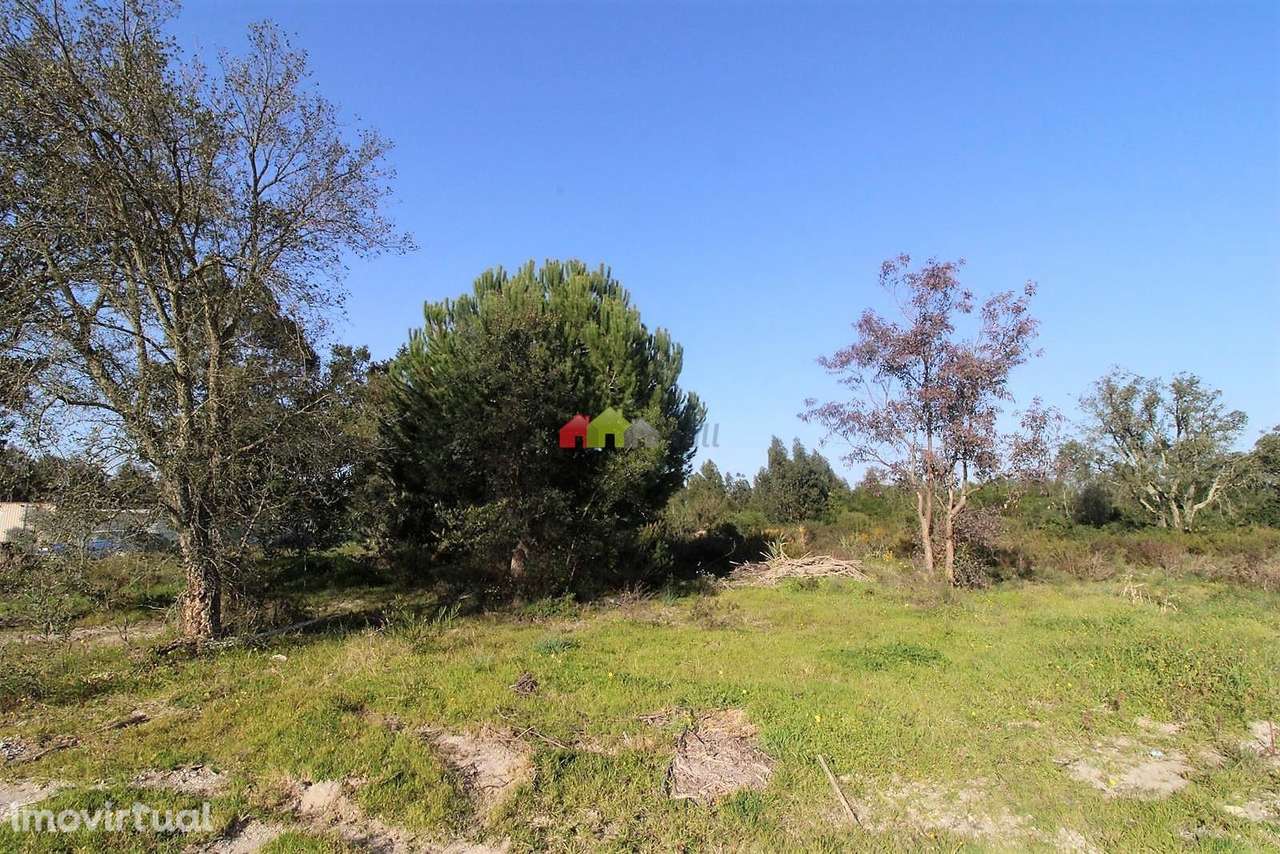 Terreno Rústico de 108.508m2 em Santo Isidro de Pegões - Montijo - Grande imagem: 4/22