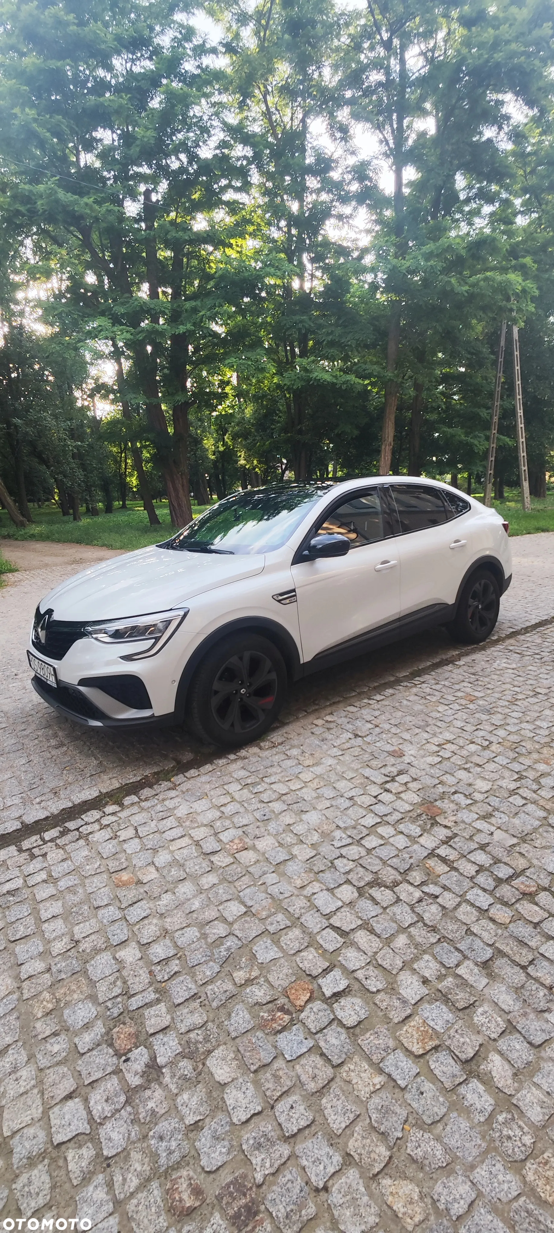 Renault Arkana TCe Mild Hybrid 160 EDC Espirit Alpine - 16
