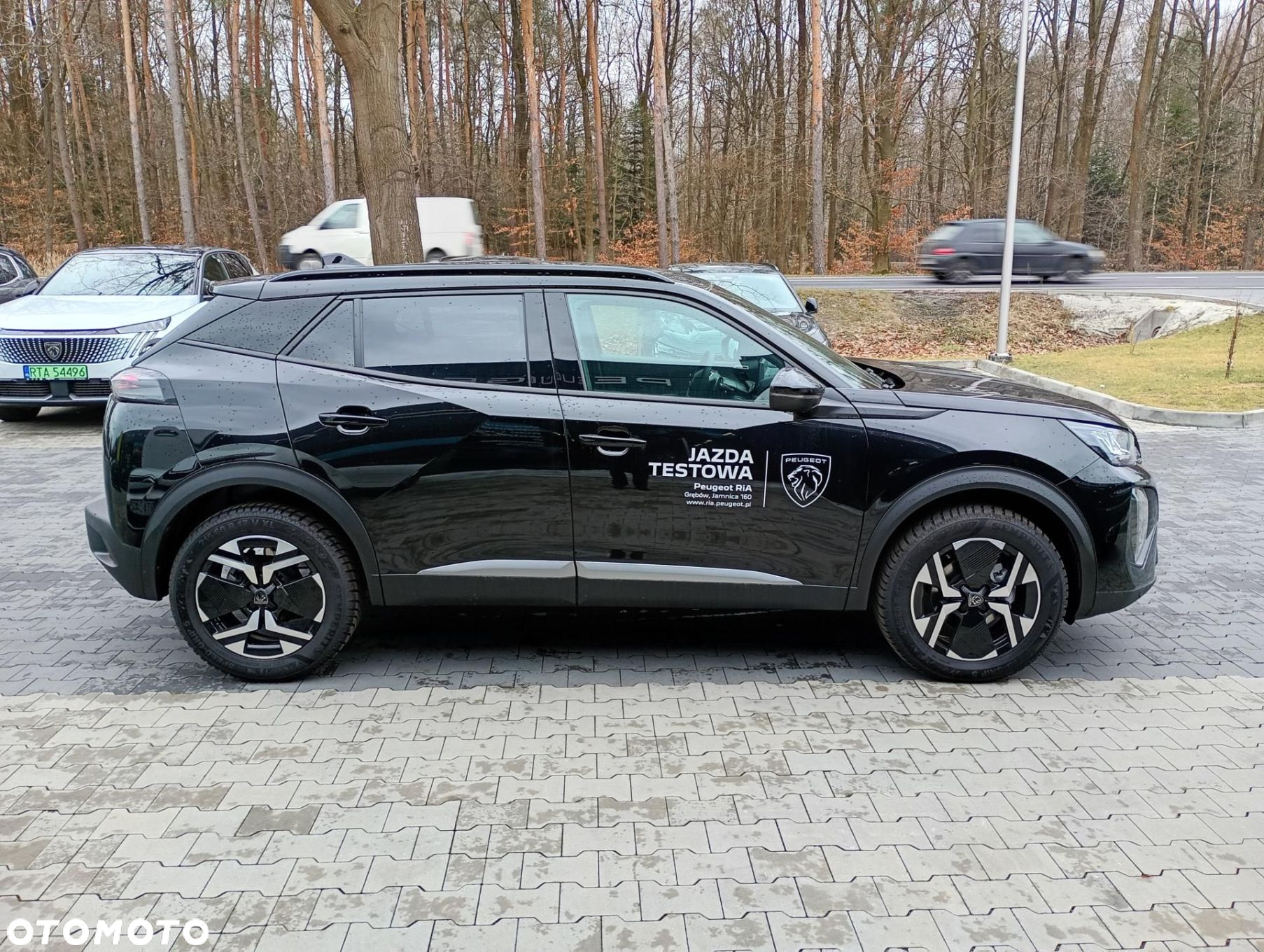 Peugeot 2008 - 6
