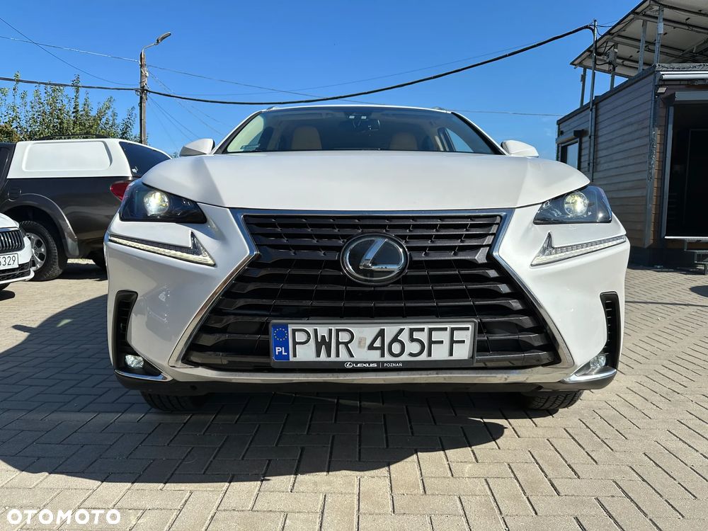 Lexus NX - 38