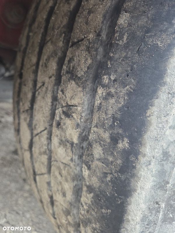 Feber Inter Cars - 7