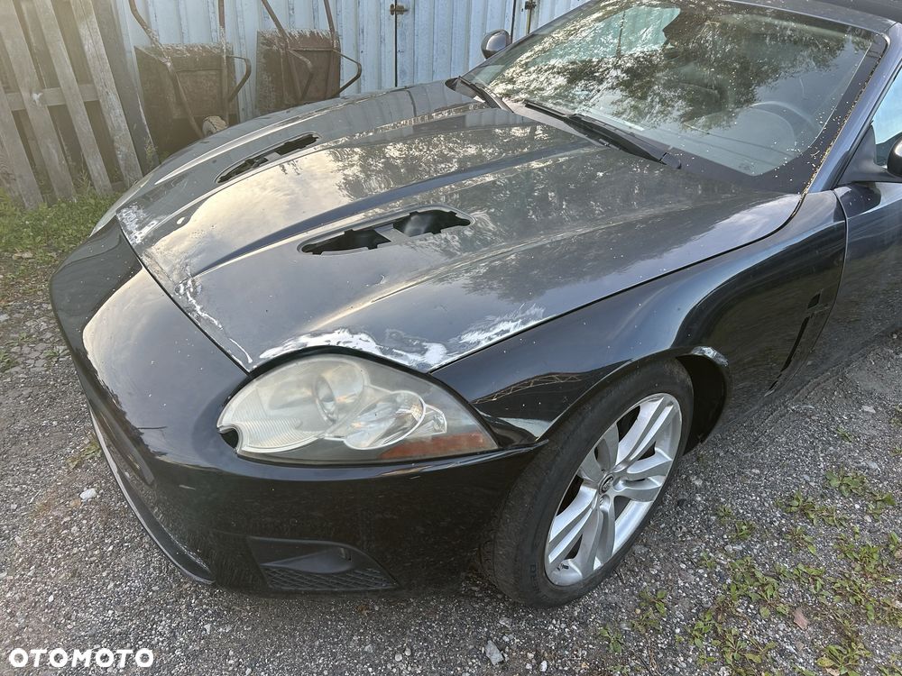 Jaguar Inny - 4