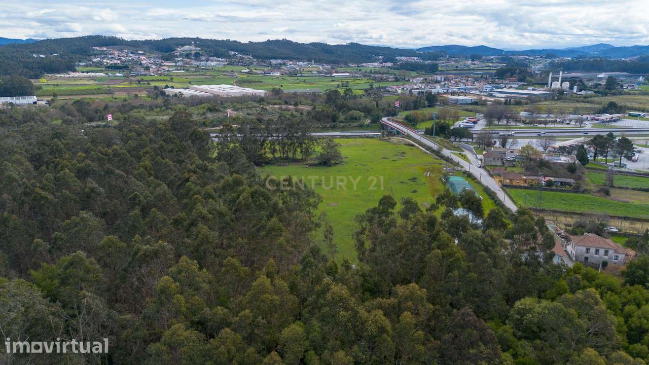 Terreno de 5,9 ha em São Mamede de Coronado – Excelente Potencial - Grande imagem: 4/7