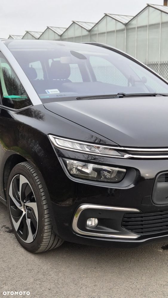 Citroën C4 Picasso 1.6 BlueHDi MoreLife S&S - 25