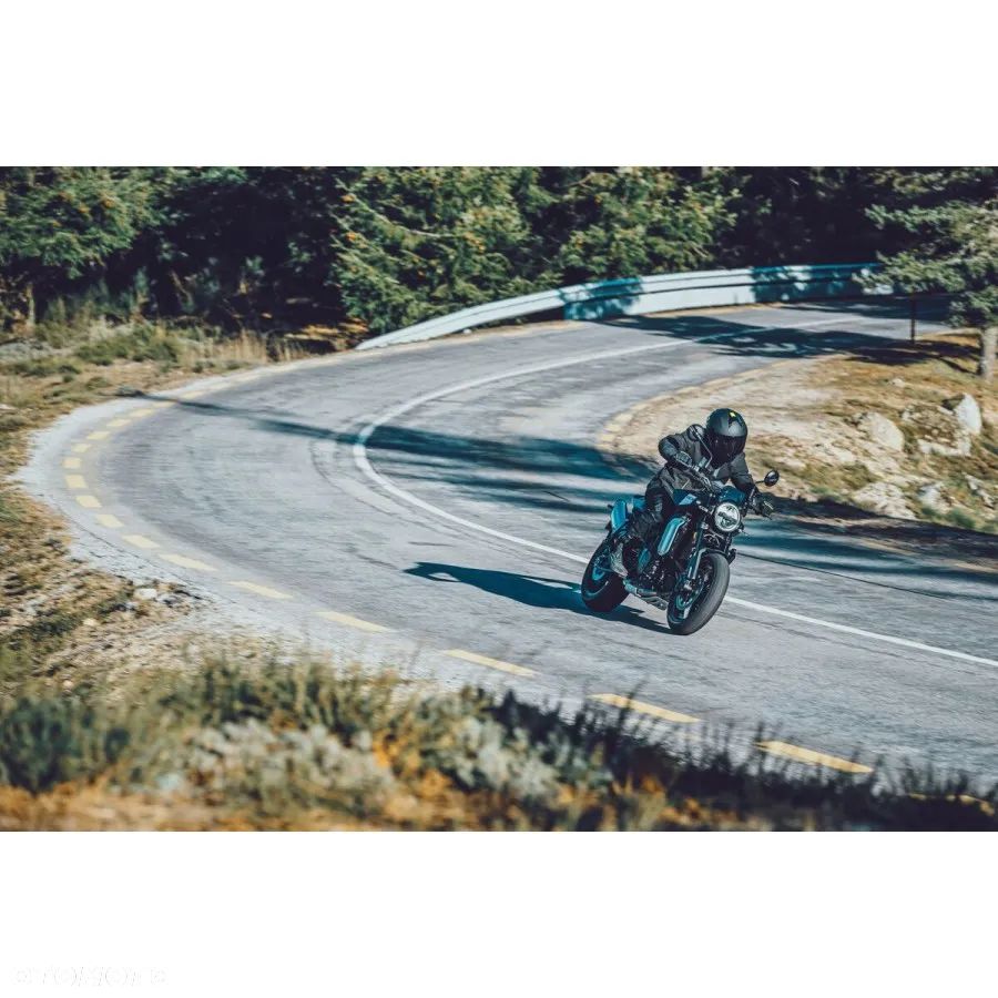 Husqvarna Svartpilen - 17