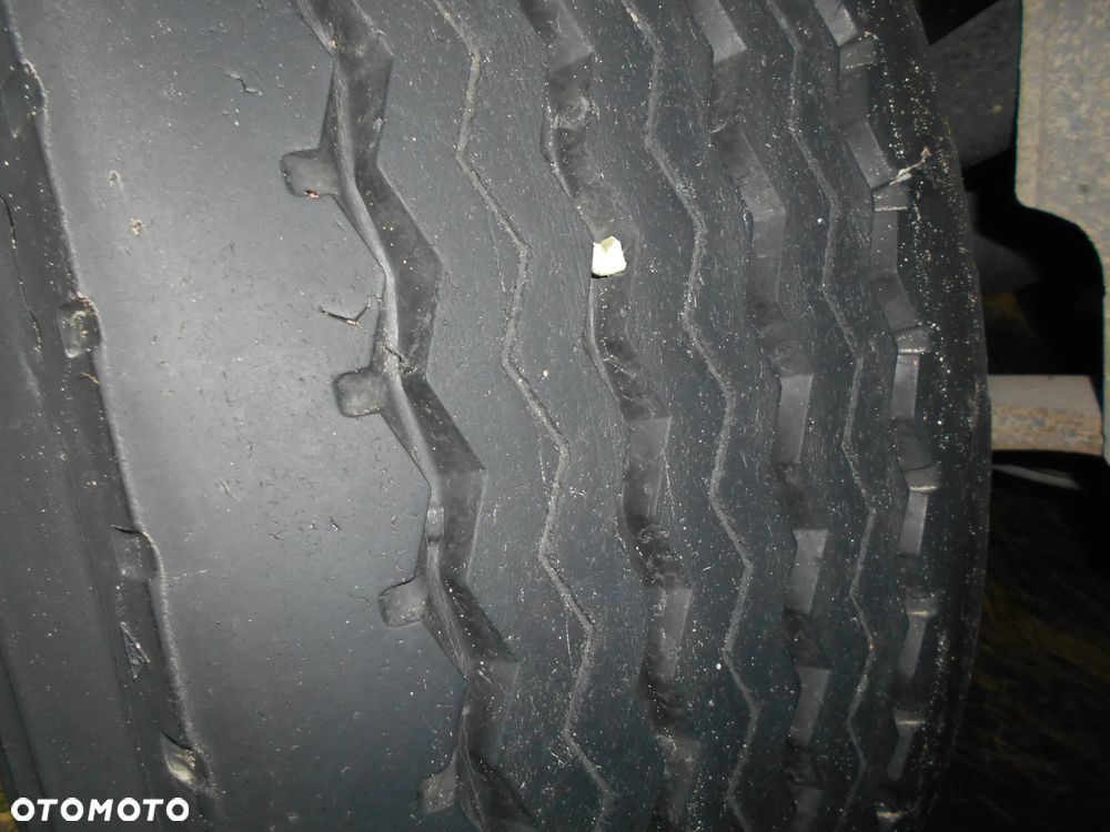 Schmitz Cargobull chłodnia standard - 8