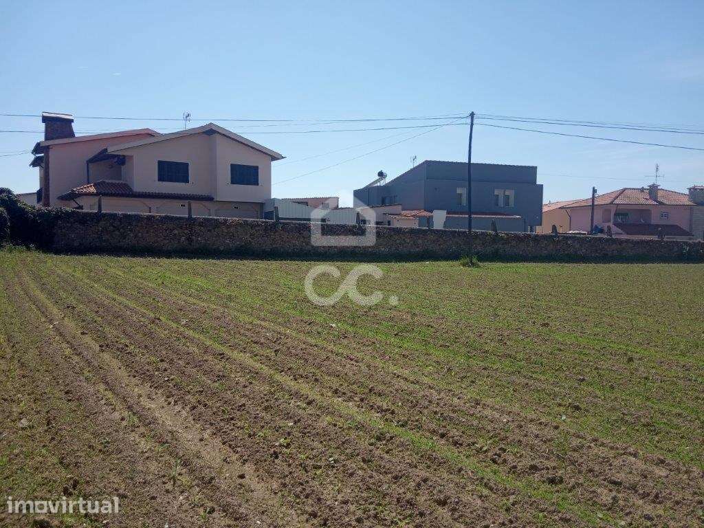 Terreno em Touguinha - Grande imagem: 2/11