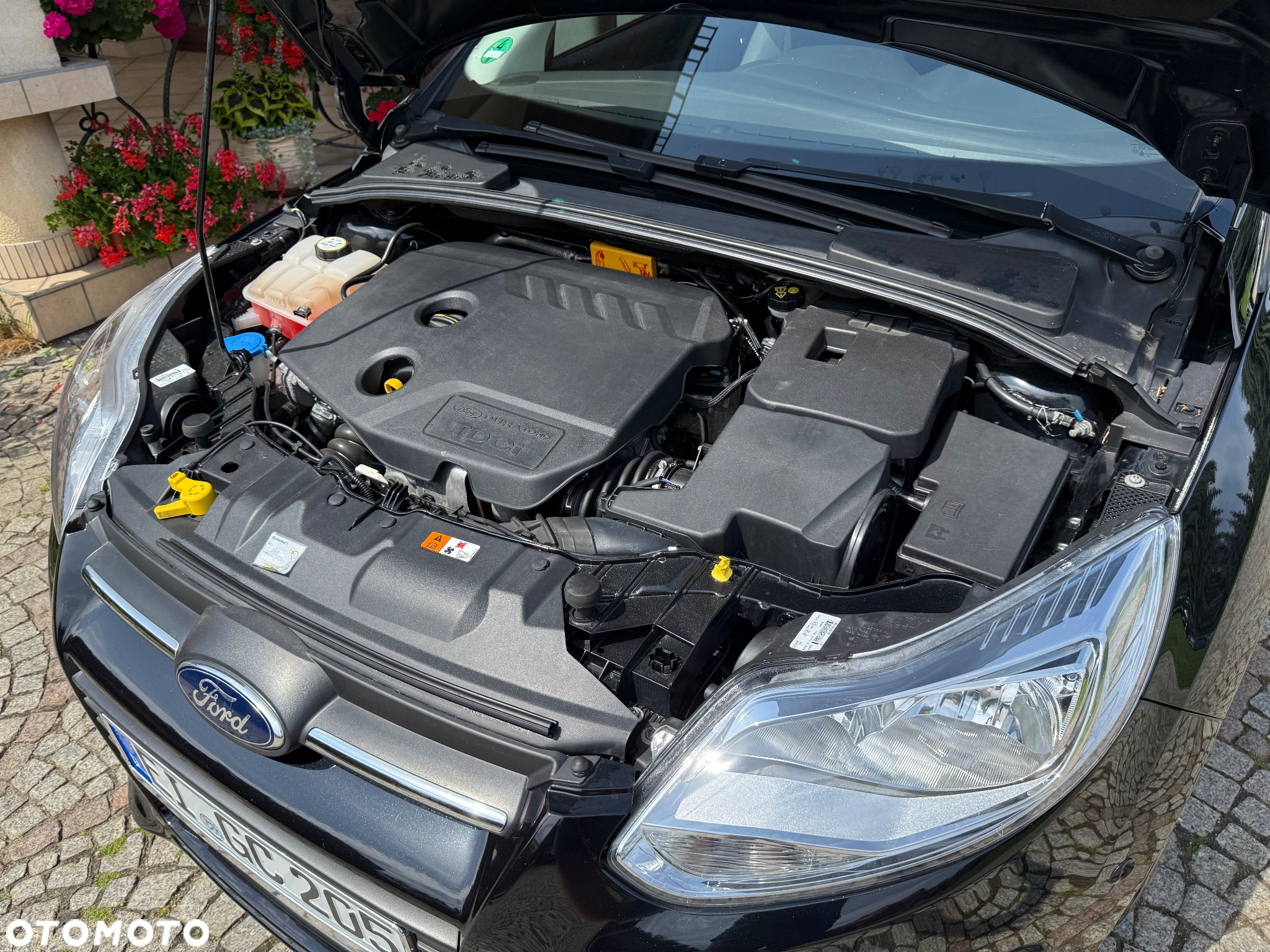 Ford Focus 1.6 TDCi Titanium - 40